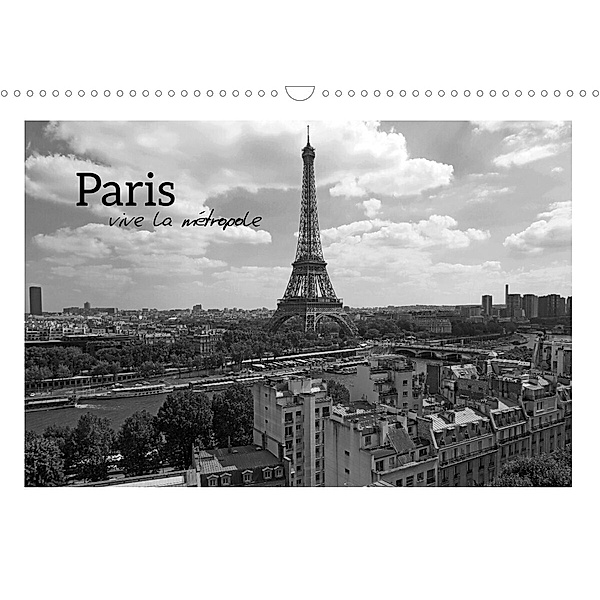 Paris vive la métropole (Wandkalender 2023 DIN A3 quer), Stephan Gabriel