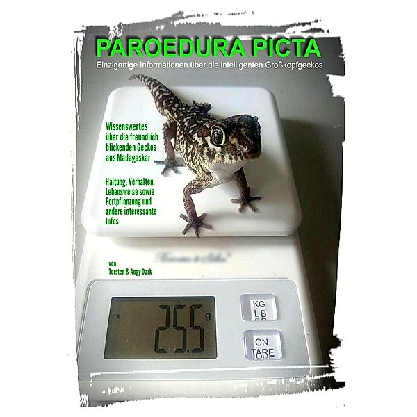 PAROEDURA PICTA - Großkopfgeckos, Angy Dark