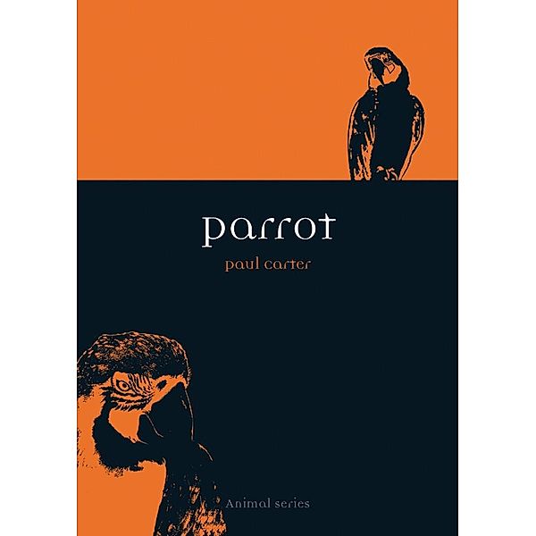 Parrot, Paul Carter