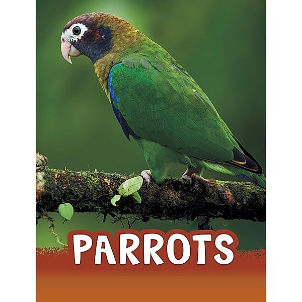 Parrots / Raintree Publishers, Mari Schuh