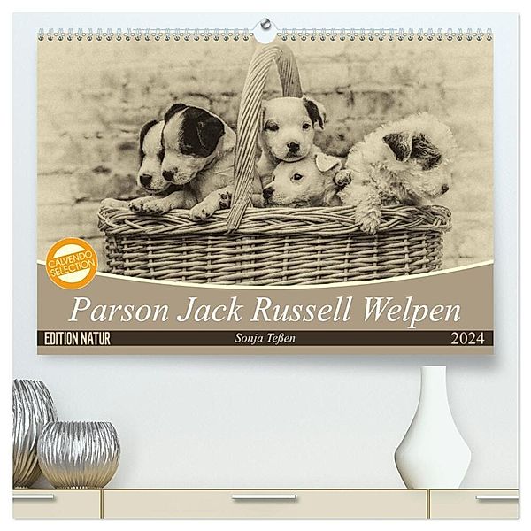 Parson Jack Russel Welpen (hochwertiger Premium Wandkalender 2024 DIN A2 quer), Kunstdruck in Hochglanz, Sonja Teßen