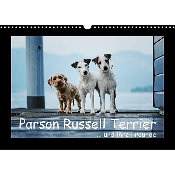 Parson Russell Terrier (Wandkalender 2023 DIN A3 quer), Kathrin Köntopp