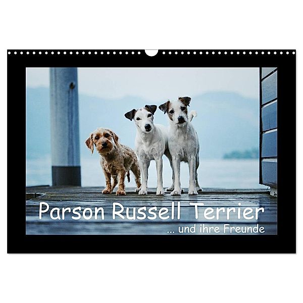 Parson Russell Terrier (Wandkalender 2024 DIN A3 quer), CALVENDO Monatskalender, Kathrin Köntopp