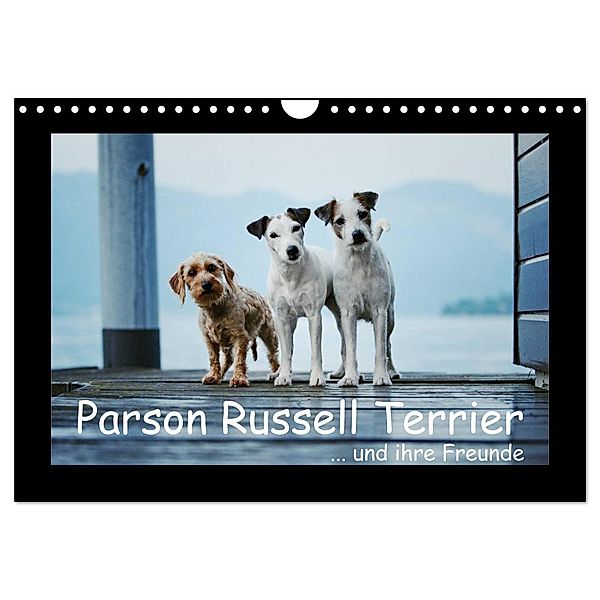 Parson Russell Terrier (Wandkalender 2024 DIN A4 quer), CALVENDO Monatskalender, Kathrin Köntopp