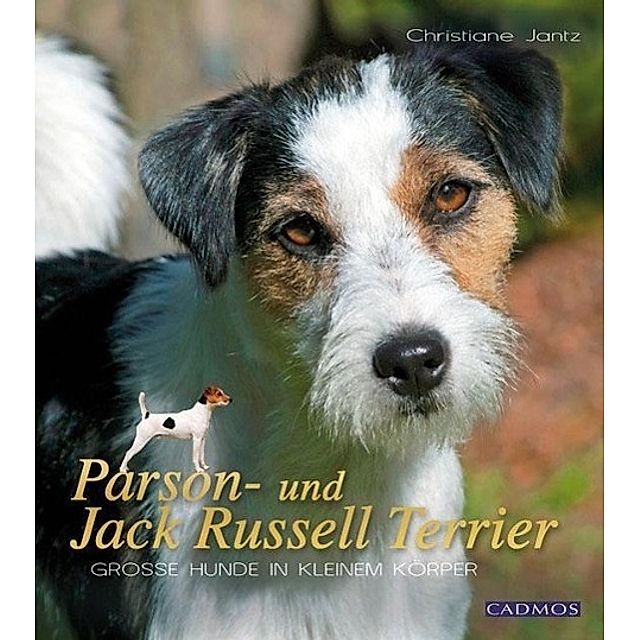 Parson- und Jack Russel Terrier Buch versandkostenfrei bei Weltbild.ch