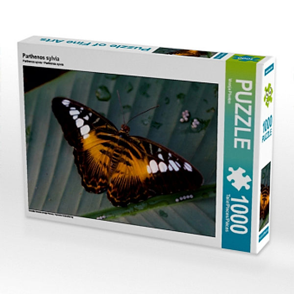 Parthenos sylvia (Puzzle), Vronja Photon