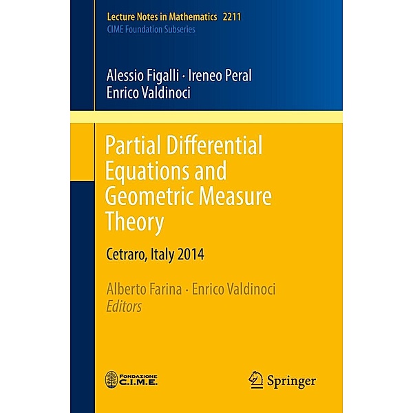 Partial Differential Equations and Geometric Measure Theory / Lecture Notes in Mathematics Bd.2211, Alessio Figalli, Ireneo Peral, Enrico Valdinoci