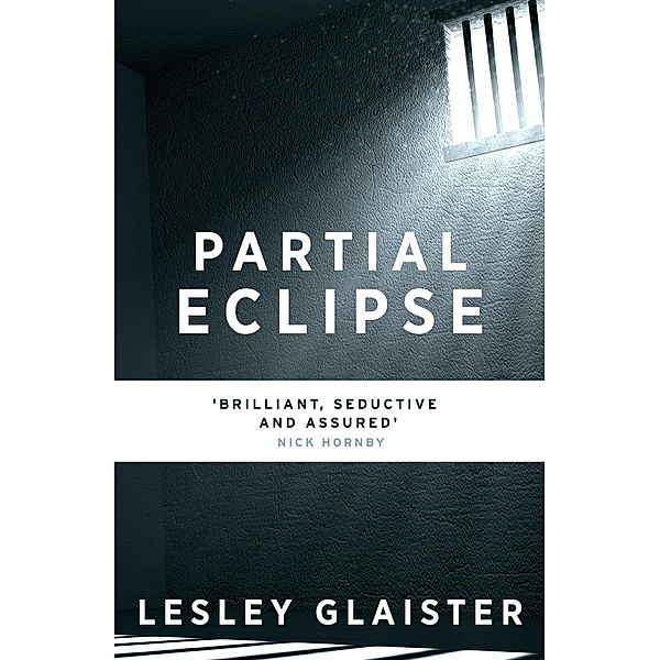 Partial Eclipse / Murder Room Bd.430, Lesley Glaister