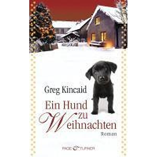 Partially Ordered Systems: Ein Hund zu Weihnachten, Greg Kincaid