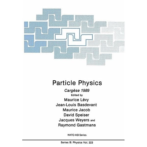 Particle Physics / NATO Science Series B: Bd.223