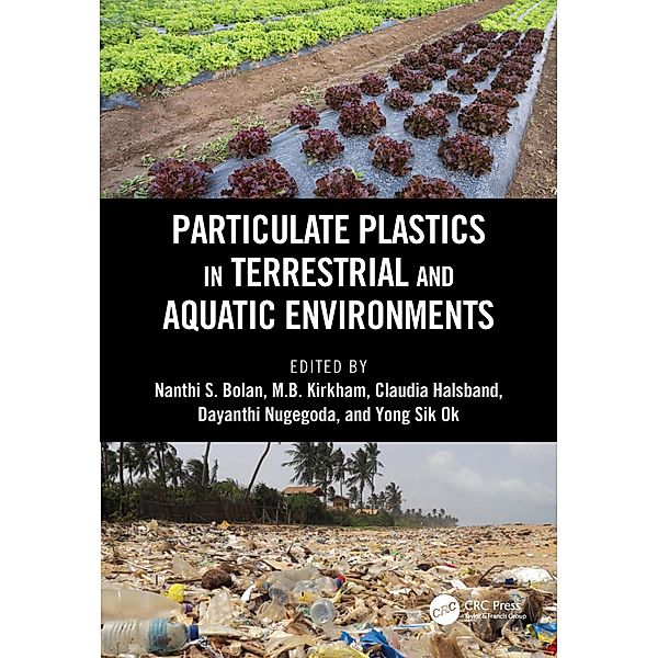 Particulate Plastics in Terrestrial and Aquatic Environments