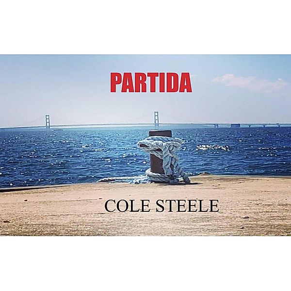 Partida (Saga Willow Darby) / Saga Willow Darby, Cole Steele