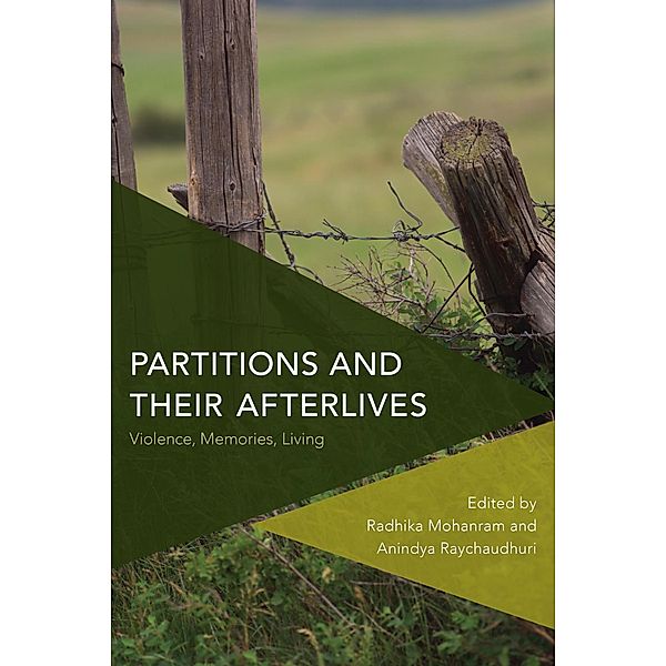 Partitions and Their Afterlives / Critical Perspectives on Theory, Culture and Politics