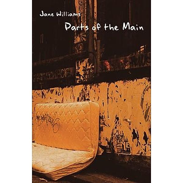 Parts of the Main, Jane Williams