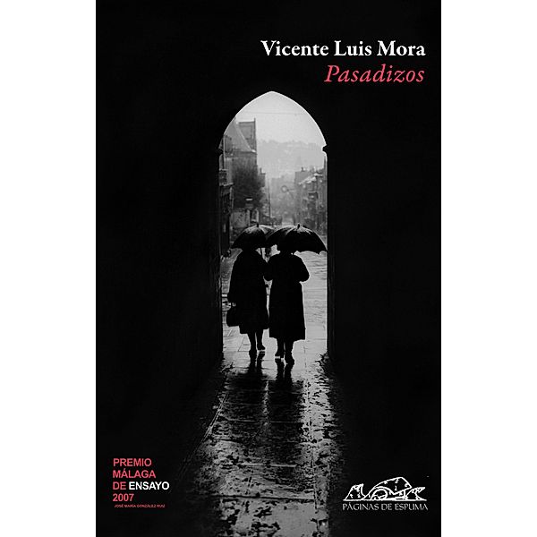 Pasadizos / Voces / Ensayo Bd.97, Vicente Luis Mora