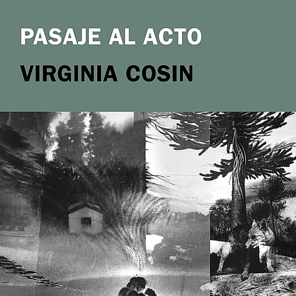 Pasaje al acto, Virginia Cosin