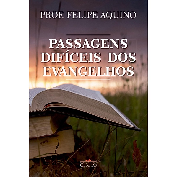 Passagens difíceis dos Evangelhos, Felipe Aquino