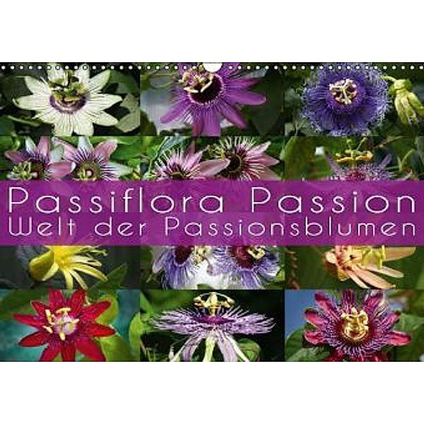 Passiflora Passion - Welt der Passionsblumen (Wandkalender 2015 DIN A3 quer), Martina Cross