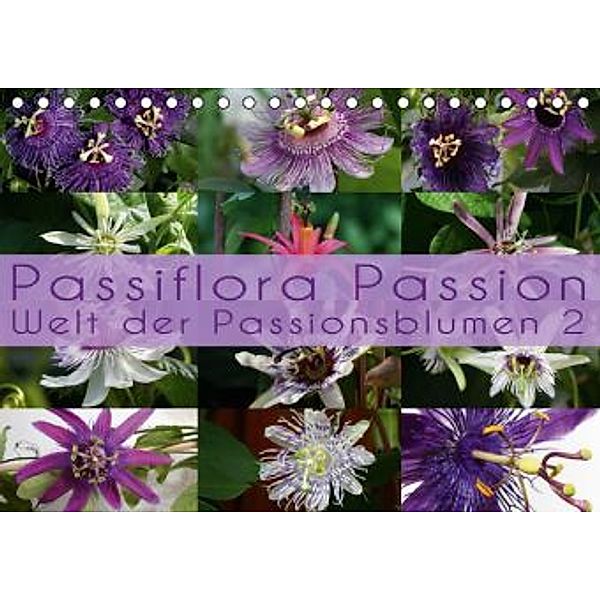 Passiflora Passion - Welt der Passionsblumen 2 (Tischkalender 2015 DIN A5 quer), Martina Cross