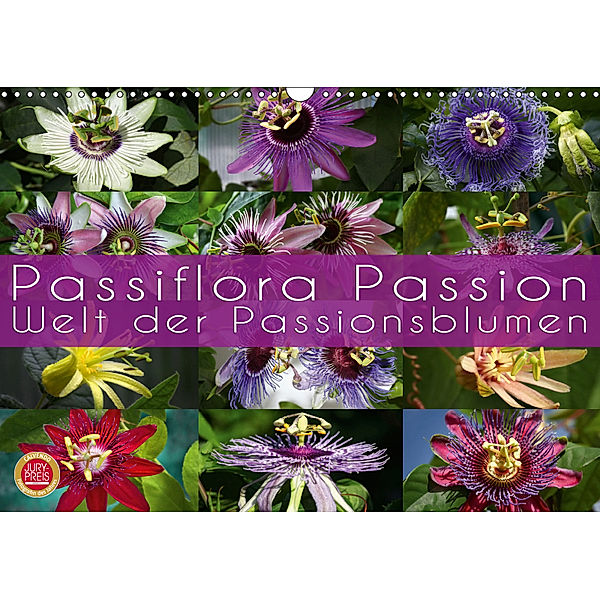 Passiflora Passion - Welt der Passionsblumen (Wandkalender 2019 DIN A3 quer), Martina Cross