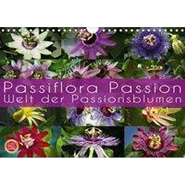 Passiflora Passion - Welt der Passionsblumen (Wandkalender 2020 DIN A4 quer), Martina Cross