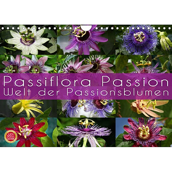 Passiflora Passion - Welt der Passionsblumen (Wandkalender 2022 DIN A4 quer), Martina Cross