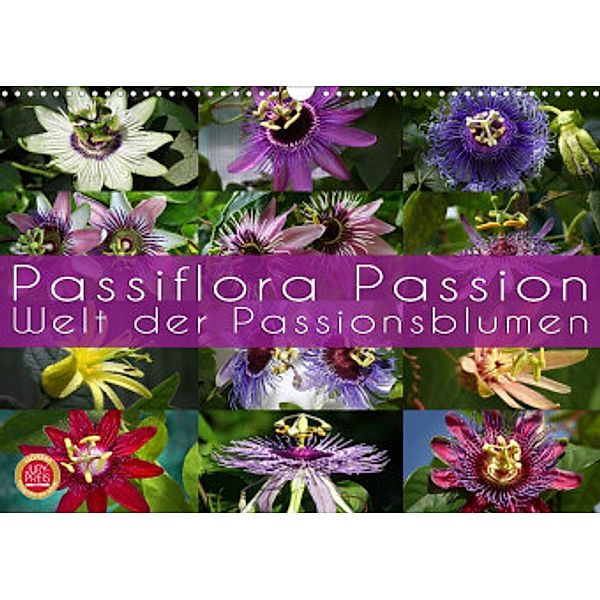 Passiflora Passion - Welt der Passionsblumen (Wandkalender 2022 DIN A3 quer), Martina Cross