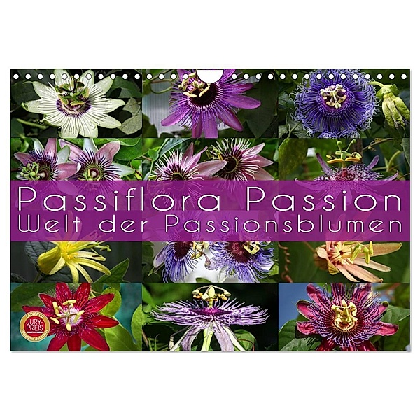 Passiflora Passion - Welt der Passionsblumen (Wandkalender 2024 DIN A4 quer), CALVENDO Monatskalender, Martina Cross