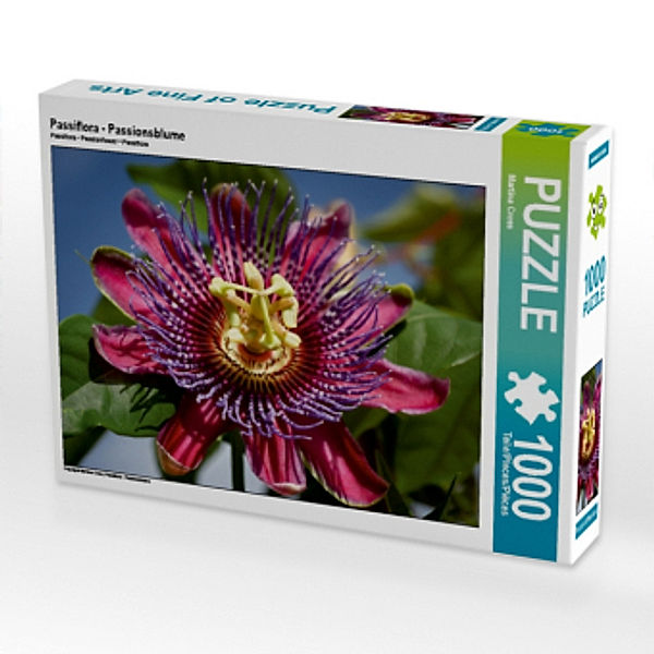 Passiflora - Passionsblume (Puzzle), Martina Cross