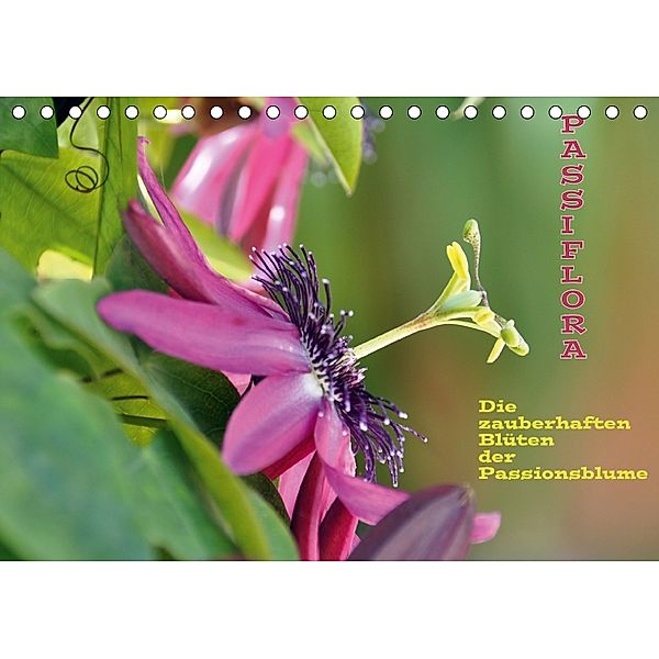 Passiflora (Tischkalender 2018 DIN A5 quer), GUGIGEI