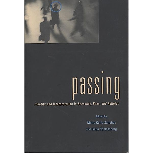 Passing / Sexual Cultures Bd.29