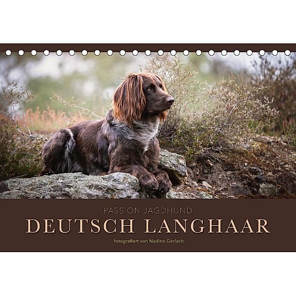 Passion Jagdhund - Deutsch Langhaar (Tischkalender 2023 DIN A5 quer), Nadine Gerlach