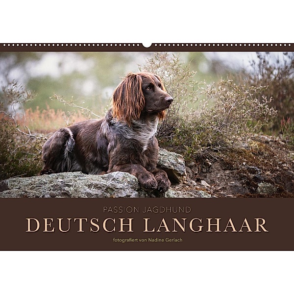 Passion Jagdhund - Deutsch Langhaar (Wandkalender 2023 DIN A2 quer), Nadine Gerlach