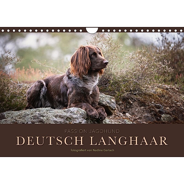 Passion Jagdhund - Deutsch Langhaar (Wandkalender 2023 DIN A4 quer), Nadine Gerlach