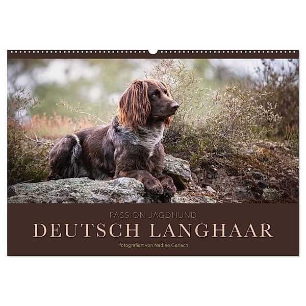 Passion Jagdhund - Deutsch Langhaar (Wandkalender 2024 DIN A2 quer), CALVENDO Monatskalender, Nadine Gerlach