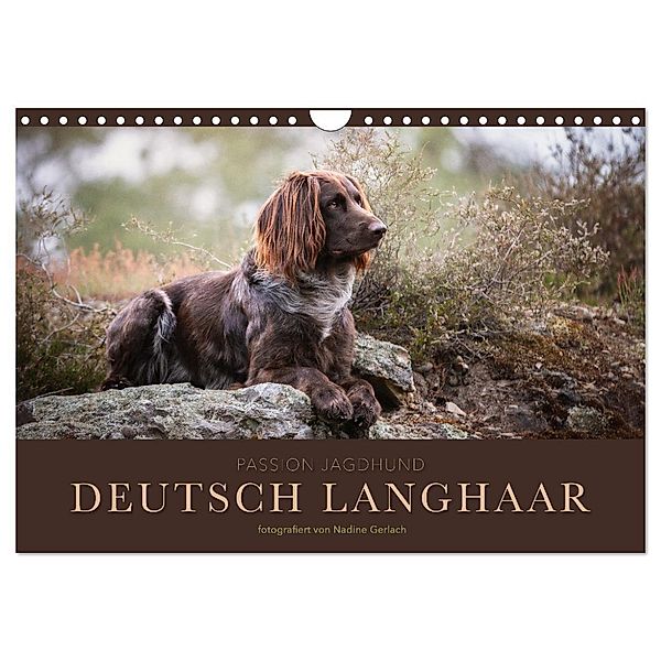 Passion Jagdhund - Deutsch Langhaar (Wandkalender 2024 DIN A4 quer), CALVENDO Monatskalender, Nadine Gerlach