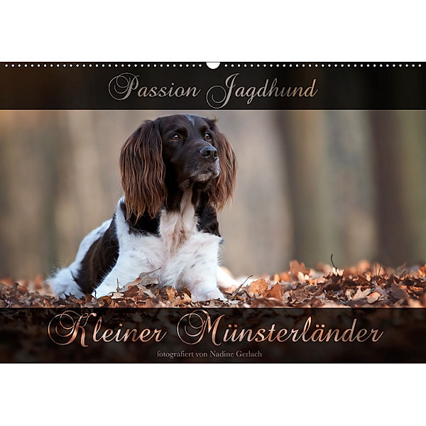 Passion Jagdhund - Kleiner Münsterländer (Wandkalender 2019 DIN A2 quer), Nadine Gerlach