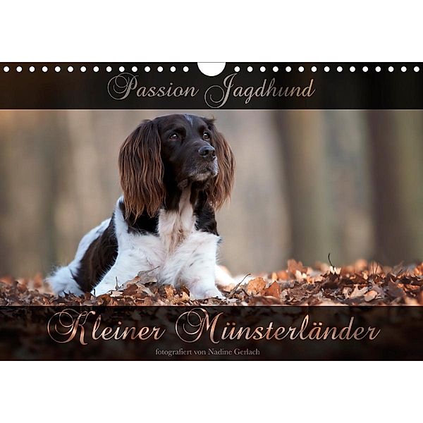 Passion Jagdhund - Kleiner Münsterländer (Wandkalender 2021 DIN A4 quer), Nadine Gerlach