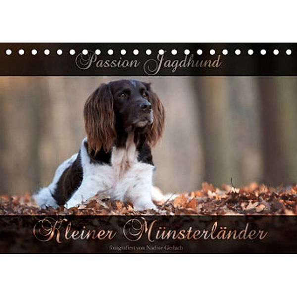 Passion Jagdhund - Kleiner Münsterländer (Tischkalender 2022 DIN A5 quer), Nadine Gerlach