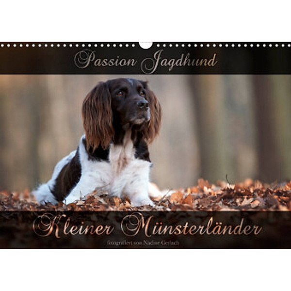 Passion Jagdhund - Kleiner Münsterländer (Wandkalender 2022 DIN A3 quer), Nadine Gerlach