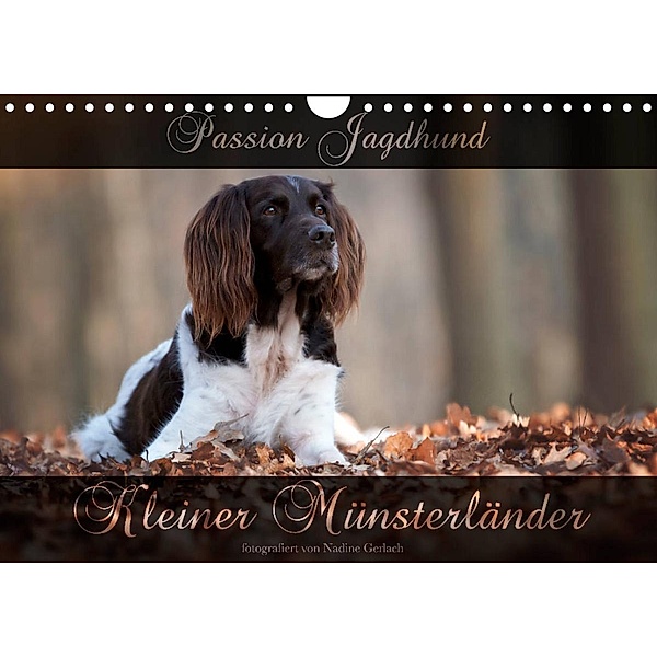 Passion Jagdhund - Kleiner Münsterländer (Wandkalender 2023 DIN A4 quer), Nadine Gerlach