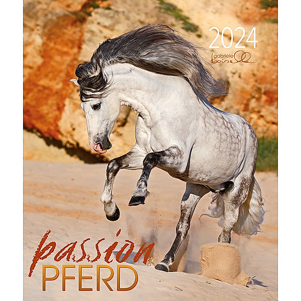Passion Pferd 2024, Gabriele Boiselle