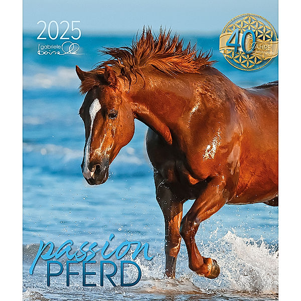 Passion Pferd 2025