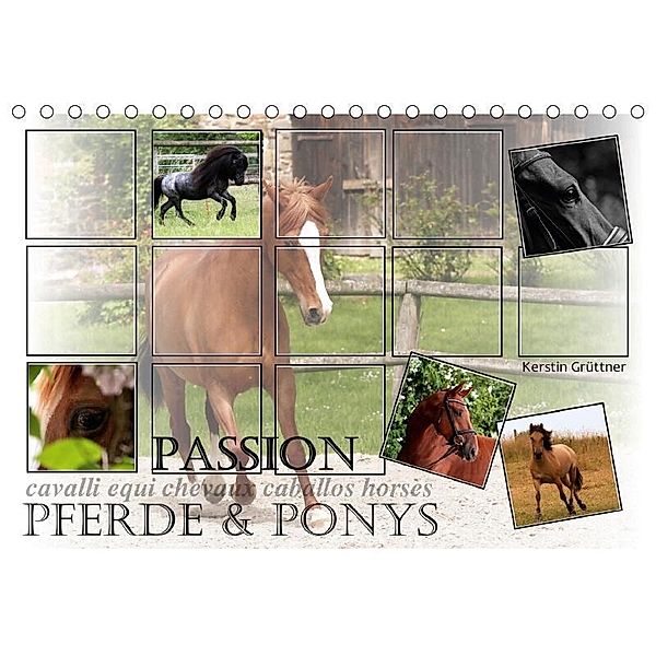 Passion - Pferde und Ponys (Tischkalender 2017 DIN A5 quer), Kerstin Grüttner