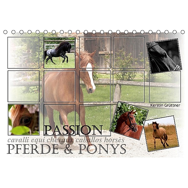 Passion - Pferde und Ponys (Tischkalender 2021 DIN A5 quer), Kerstin Grüttner