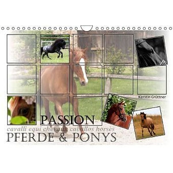 Passion - Pferde und Ponys (Wandkalender 2015 DIN A4 quer), Kerstin Grüttner