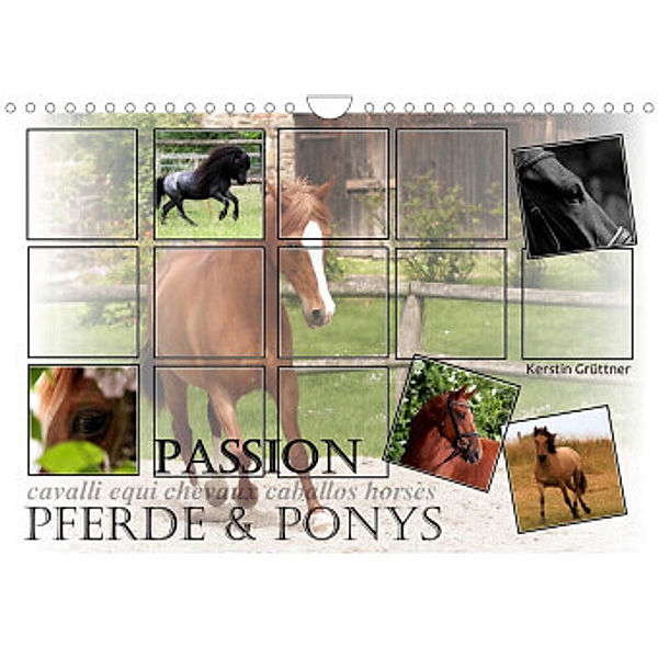 Passion - Pferde und Ponys (Wandkalender 2022 DIN A4 quer), Kerstin Grüttner