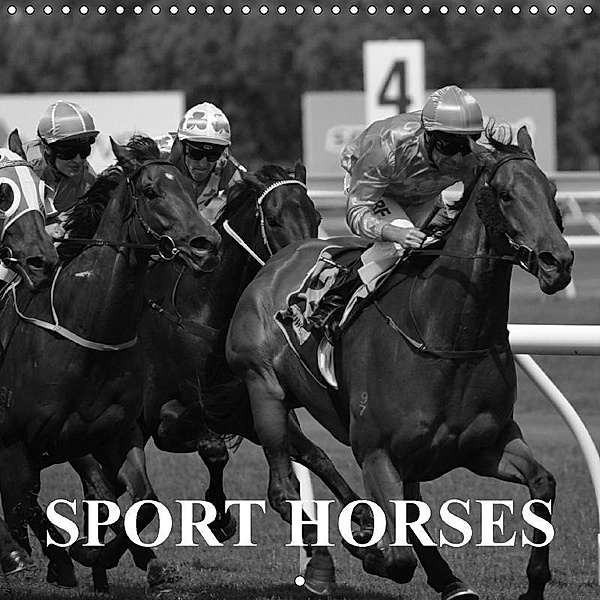 Passion Sport Horses (Wall Calendar 2017 300 × 300 mm Square), Elisabeth Stanzer