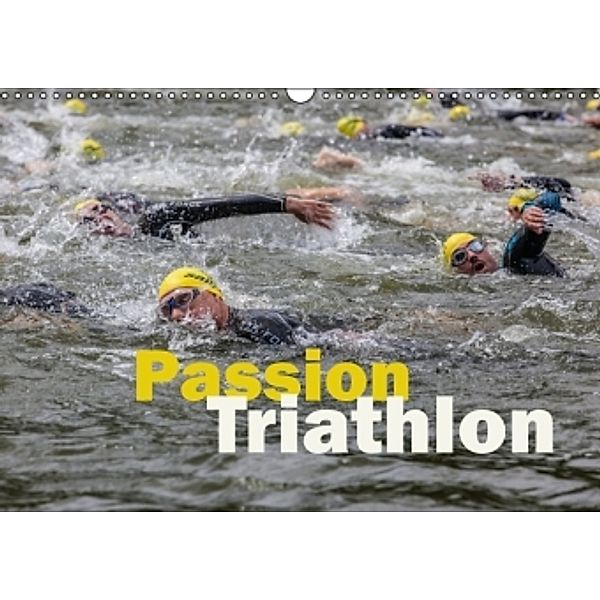 Passion Triathlon (Wandkalender 2016 DIN A3 quer), hans will