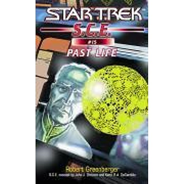 Past Life / Star Trek: Starfleet Corps of Engineers Bd.15, Robert Greenberger